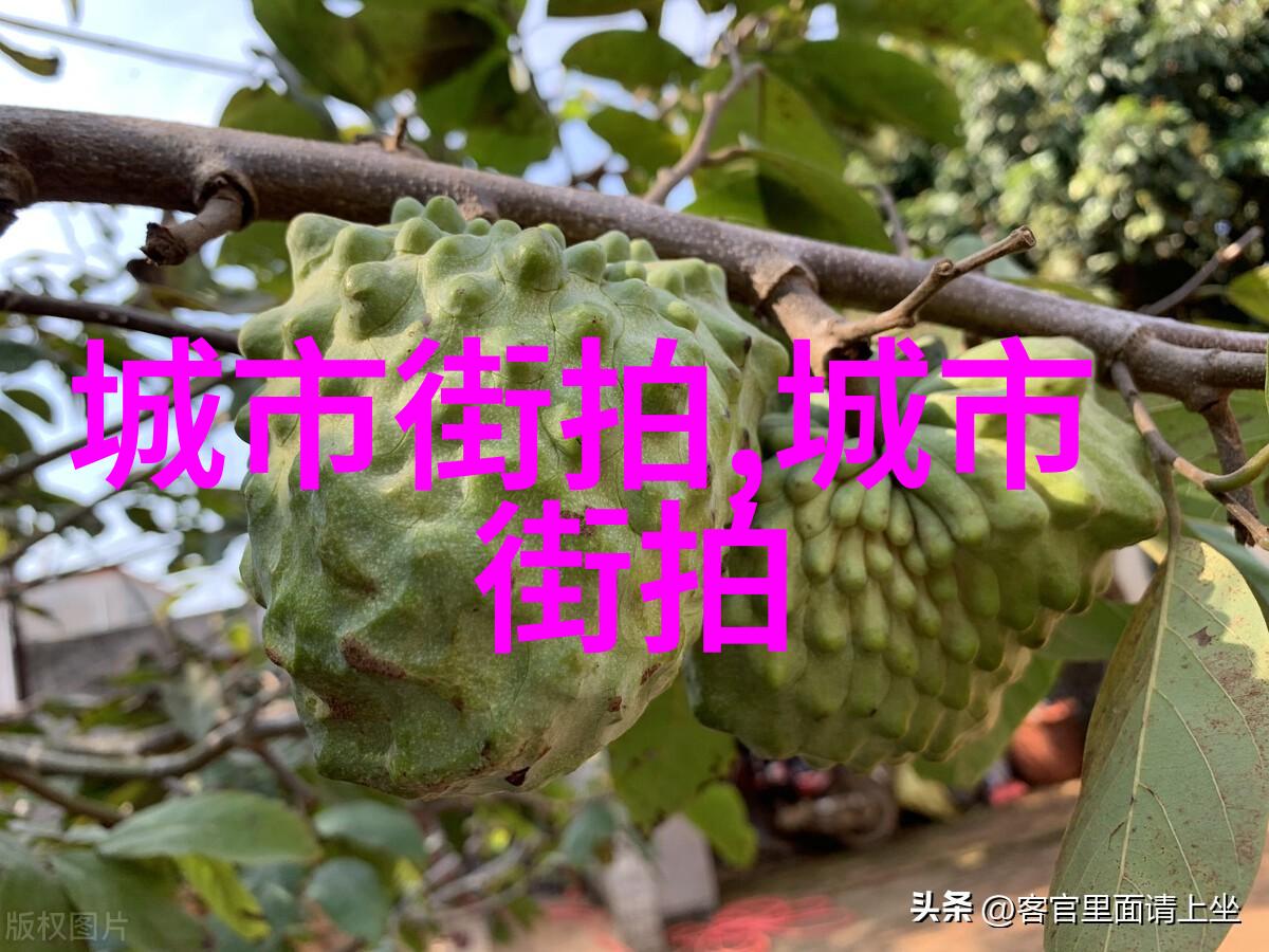 1区2区3区产品乱码视频-混乱之中揭秘1区2区3区产品乱码视频背后的真相