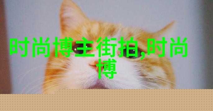 小蒹葭的音乐世界你别烦我了