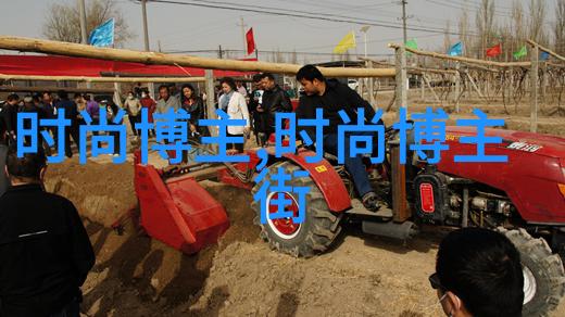 爱情岛论坛首页永恒的温暖与交流