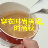 时尚杂志中的穿衣搭配艺术探究从视觉语言到文