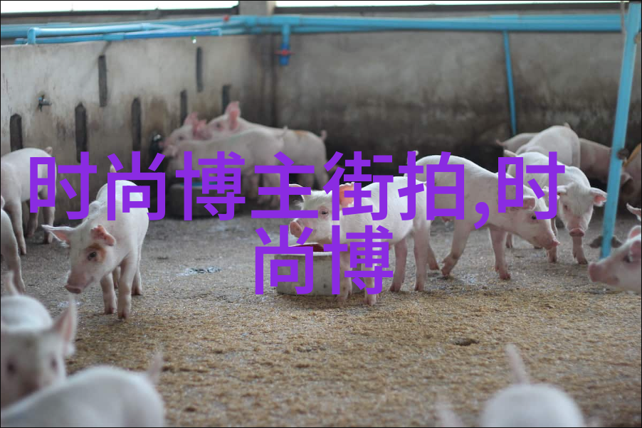 欧洲明星街拍镜头下的生活现实与幻觉