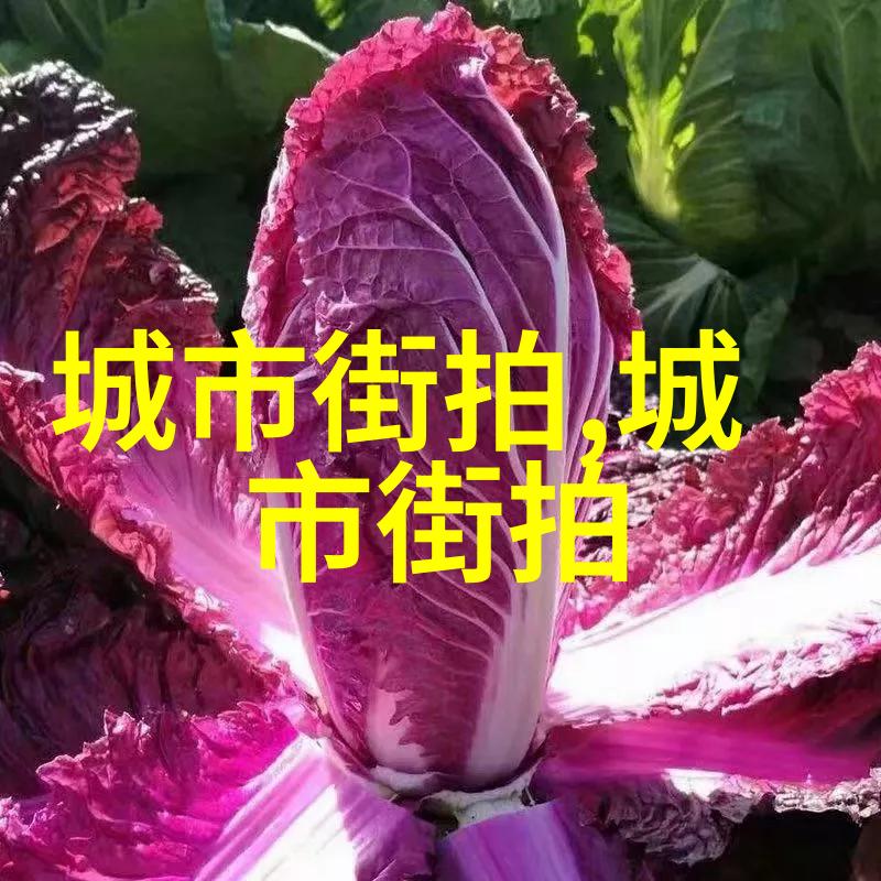 爱情岛论坛网址永久首页-永恒的相遇爱情岛论坛网址永久首页探秘