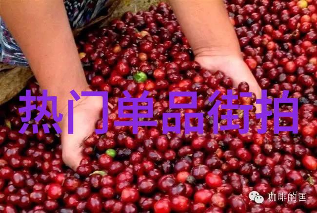 K粉们的追星之旅揭秘韩国明星街拍热潮