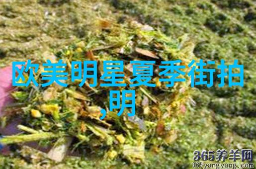 高清名表画像泰格豪雅卡莱拉女士腕表心仪之选