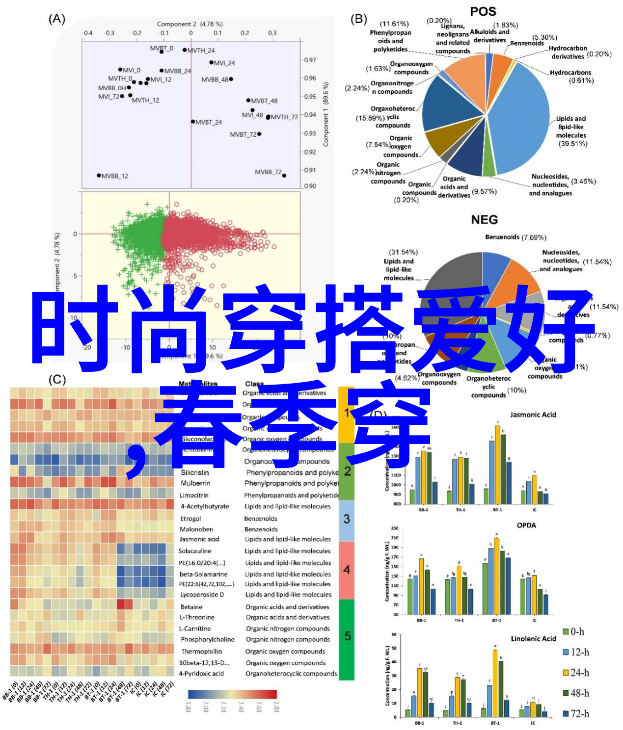 宝姿连衣裙体验分享数据揭秘免费服装趋势网站的魅力