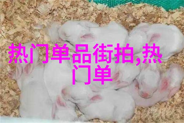 逆袭之路从凡尘世界到遮天的征程