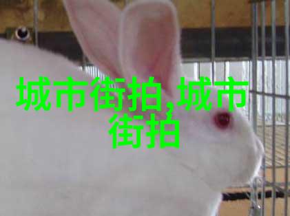 法拉利F12Berlinetta超豪华客制之冠闪耀十大名表光芒