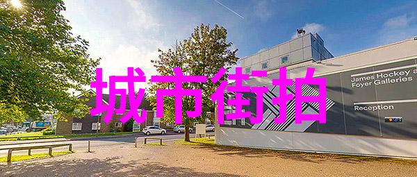 欧美明星街拍风潮独家海报网揭秘红毯外的真实