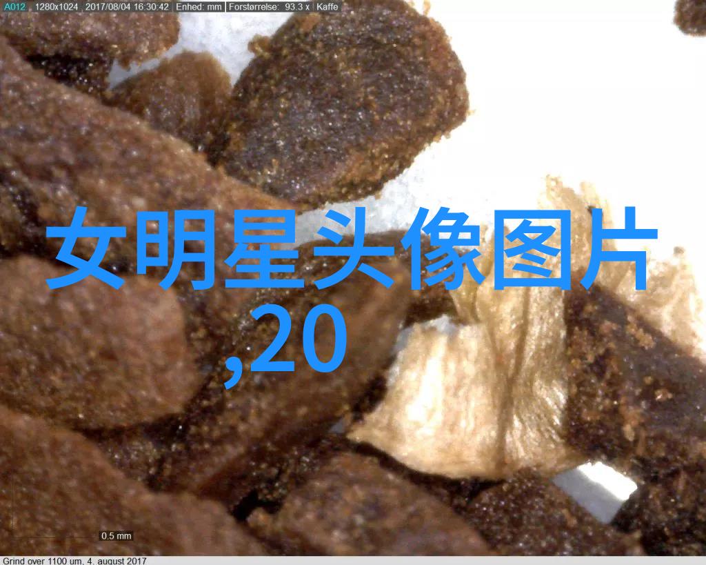 明星街拍网我是如何在网上找到了明星的私人生活照片的