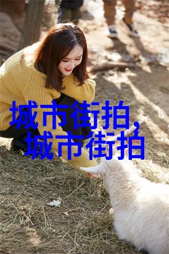 哔哩哔哩大冒险探秘我所见过的尺度最为庞大的B站奇观