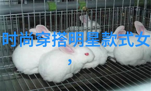 一生一世美人骨古代篇-千古绝恋探秘那些被时间抹去的美人骨