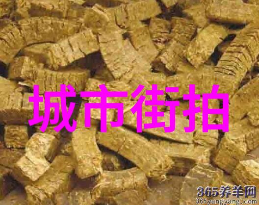 秋冬时尚趋势如何将复古元素融入现代服饰