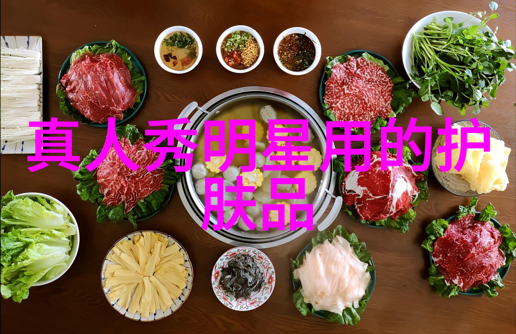 回家狗狗探索我全集的犬类世界