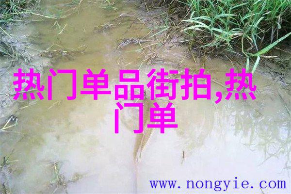 瑜伽学习我这不就c了瑜伽老师一节课网站吗