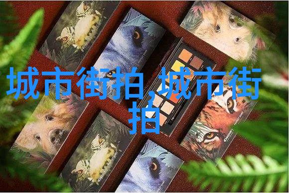 震撼视界一本大道免费手机高清视频探秘