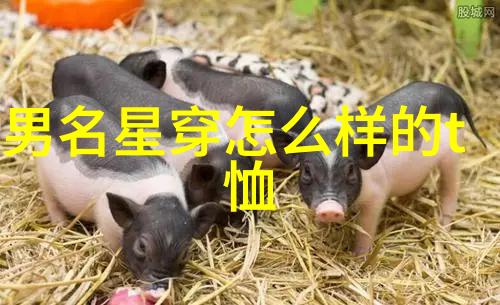 实木沙发的选择指南如何挑选出最适合你的家具