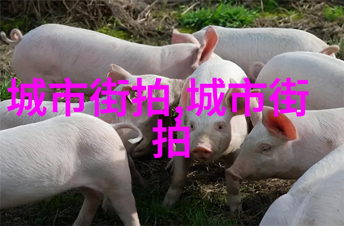 淘宝几十块的近视眼镜能买吗精密工程学打造金致之选戴森Supersonic蓝金特别礼盒版彰显创新科技的