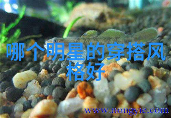 水多肉多的黄金时代探秘小黄文的奇迹成长