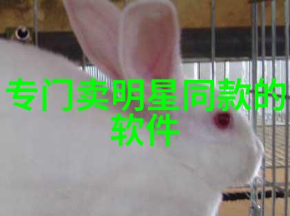 公交车上被弄进走不动路走不动城市交通的无奈与挑战