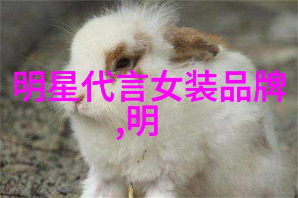 创作神话VS创新驱动探讨两种不同路径下的影响力