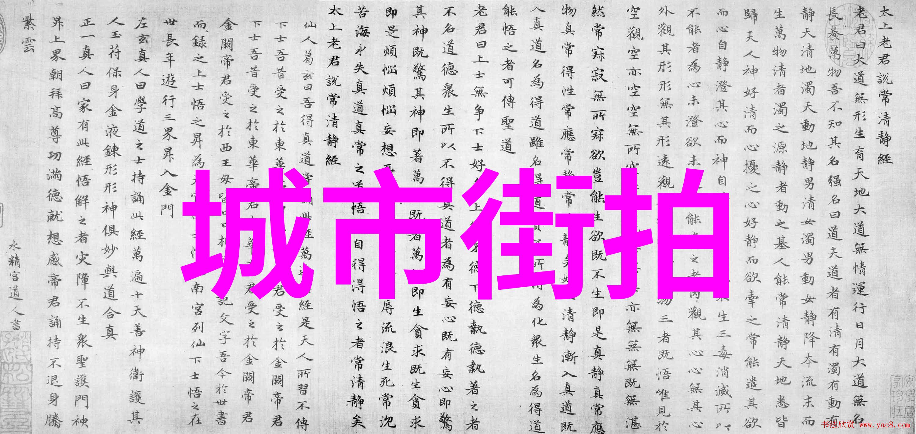 欧美明星秋冬街拍时尚潮流与温馨瞬间的交汇点