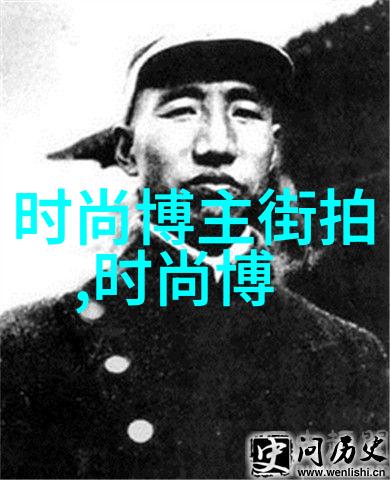 美国14VDO系统的应用与挑战