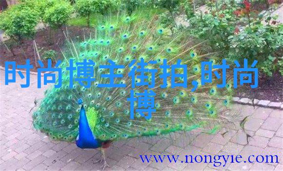 触电奇遇二指探洞的惊心动魄