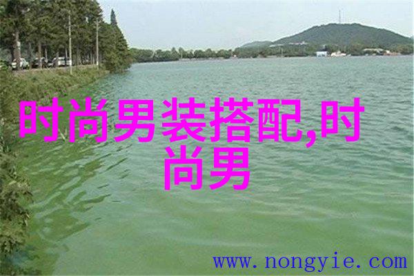 公交车被CAO得合不拢腿事件乘客创意解决方案引发热议