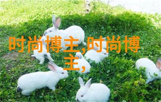 电影新篇章金银瓶的奇幻重启