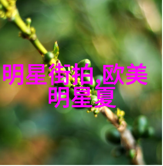 时尚男士服装搭配 - 精致街头风夏季男士穿搭指