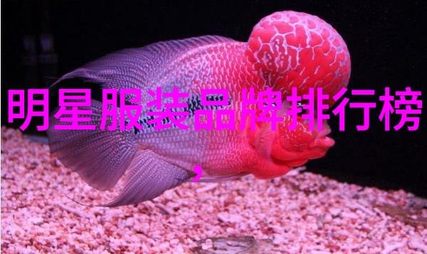 时尚穿搭艺术创意衣物搭配技巧