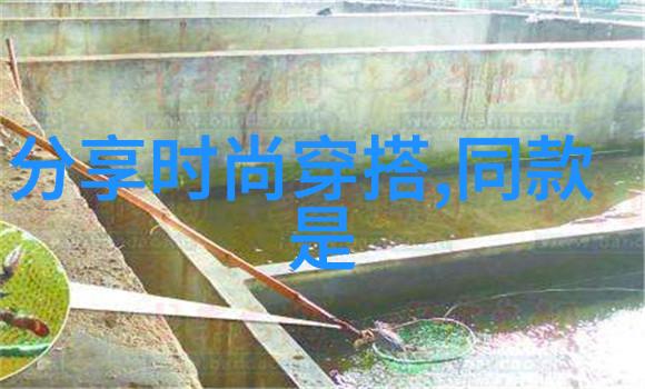 夏季男装搭配技巧轻盈透气的时尚穿搭指南