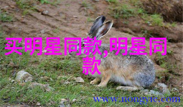 孟美岐穿搭-孟美岐的时尚魅力如何打造个性化风格