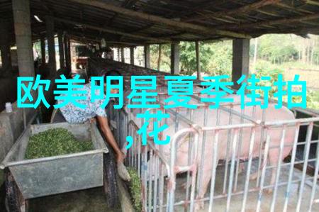心灵的告别当爱变为不屑时