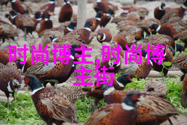 夏日时尚风潮2022年女生最爱的轻盈装扮
