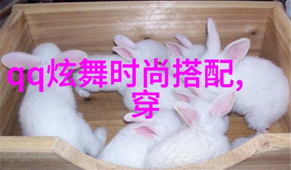 麦苗WINGYING种植技巧与营养需求的完美结合