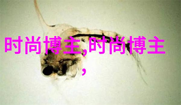 边城浪子的孤独征途