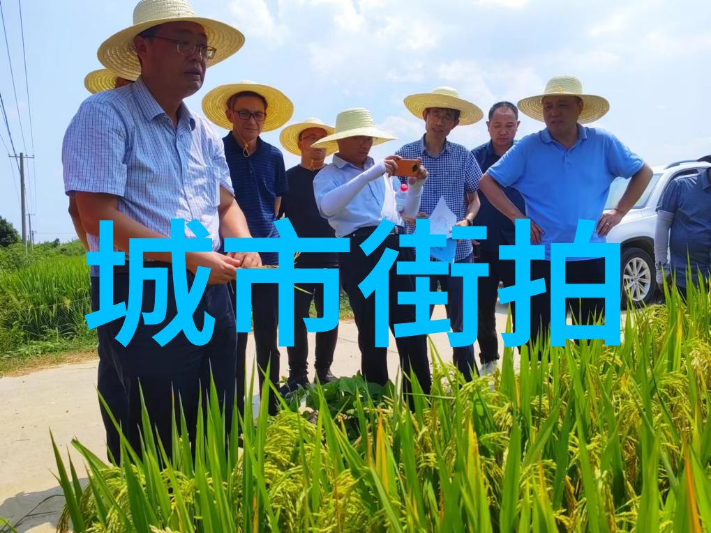时尚博主从个体表达到集体认同的审美革命