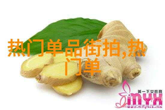 追逐梦想的翅膀飞升与恋爱的交织之旅