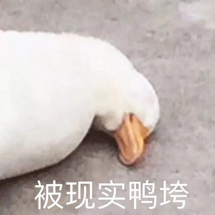 明星时尚街拍_明星穿搭街拍_街拍明星夏季穿搭图片/
