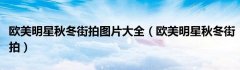 欧美明星秋冬街拍合集欧美明星秋冬