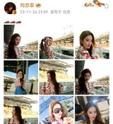 刘亦菲F1阿布扎比大奖赛观赛 玩手机