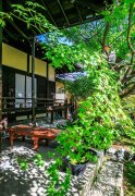 带你去日本扫街摄影新手也能成为高