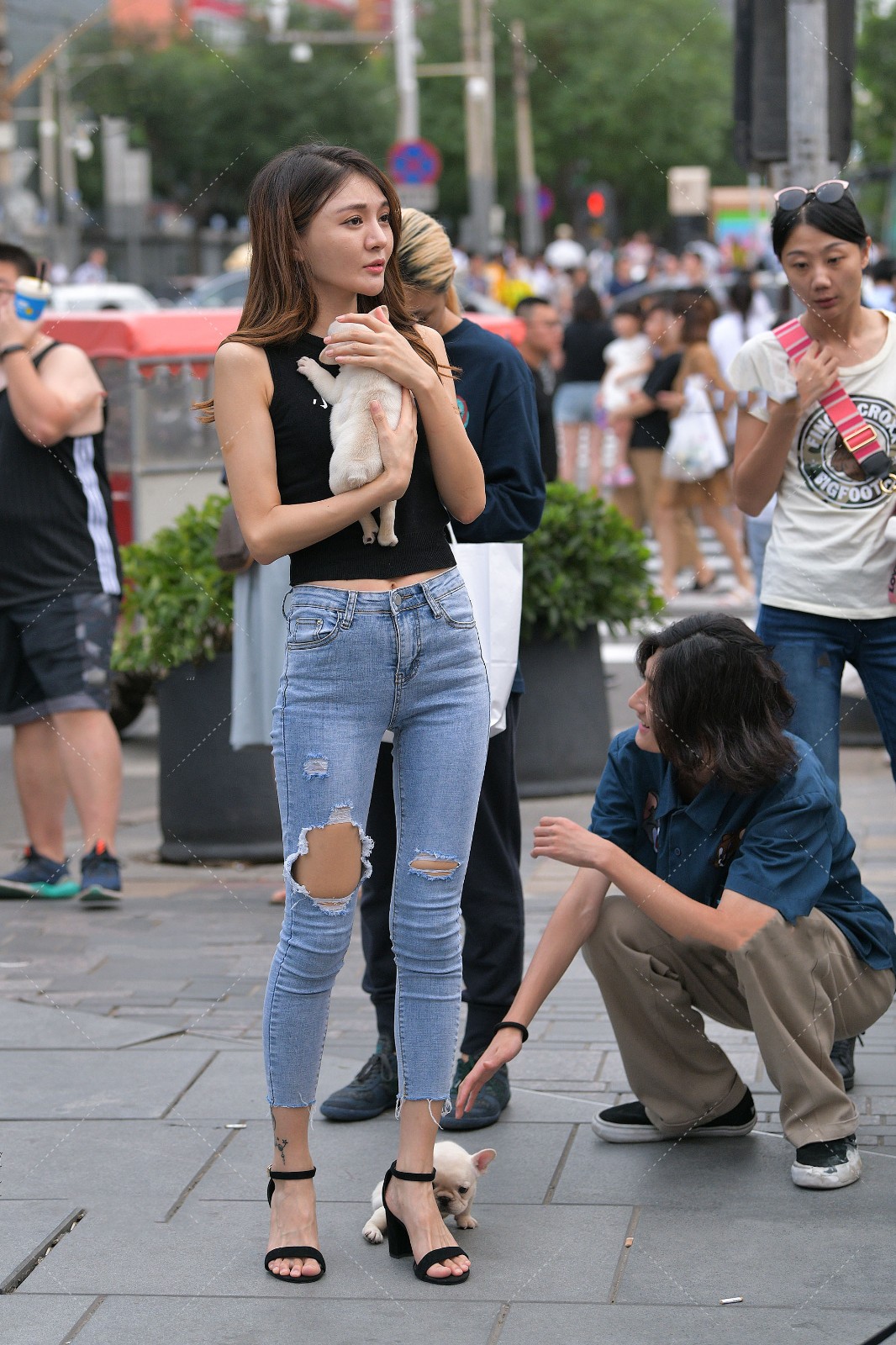 5.jpg/