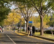 调查占道拍照、乱扔垃圾……街拍美