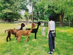 刘雯金泫雅丨近期明星穿搭大全