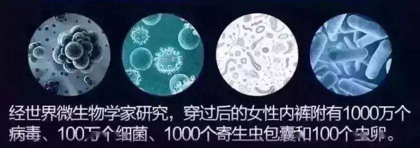 街拍明星穿百褶裙搭配图片_明星穿搭街拍_明星街头穿搭