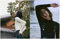 2018年度最佳女明星是谁刘雯和倪妮堪