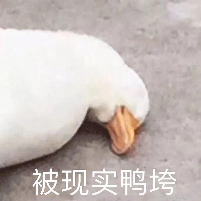 明星时尚街拍_明星穿搭街拍_街拍明星夏季穿搭图片