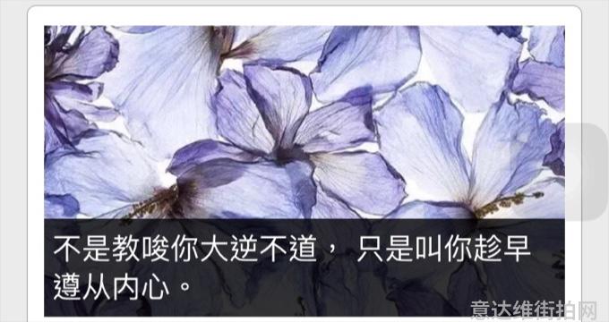 街拍时尚博主是谁_穿搭博主街拍_时尚博主街拍